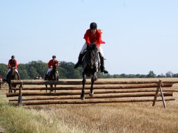 538813_10151090366398585_1422052649_n